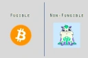 Difference between fungible and non-fungible