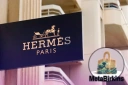 Hermes MetaBirkins NFT